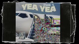 Shane O - Yea Yea [Audio Visualizer]