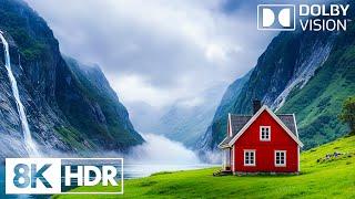 A Visual Serenade of Nature in 8K HDR 60FPS Dolby Vision