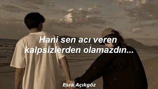 Ayla Dikmen - Anlamazdın Lyrics