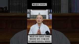 깨달음의 아이러니 #깨달음 #진리 #선불교 #마음
