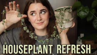 Your Houseplants Need New Soil ASAP | Repotting My Oldest Indoor Plants