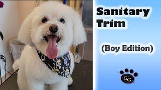 Sanitary Trim (Male Dog Edition) - Shaving Dog Privates and Dog Butts - Gina's Grooming