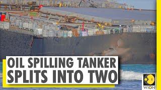 Why the Mauritius oil spill is threatening | MV Wakashio | Climate Change | Aquatic ecosystem