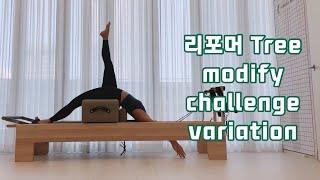 리포머 Tree 완성하기 (reformer tree)