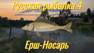 Русская рыбалка 4 | р. Вьюнок Носарь | Рулетка для подписчиков | рр4 от ЧокопайТВ