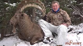 Ibex Tian Shan Kazakhstan hunting  by Prohunt.kz - Охота на тянь-шаньского  козерога  в Казахстане