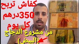 إربح 350 درهم كل يوم من مشروع الدجاج البلدي #البياض وأيضا اهم نصائح وشروط #الربح