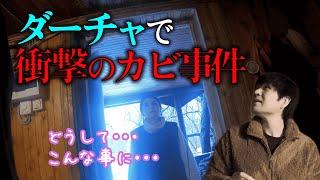 悲劇再び・・・。ロシアに帰国して浴室の扉を開けたら、衝撃の光景が待っていました。。カビの除菌と木材の研磨で、どこまで復活するのだろうか・・・？