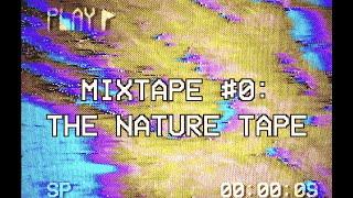 MIXTAPE #0 - THE NATURE TAPE (Glitch Art ||| 2024)