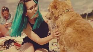 Seaway "Lula On The Beach" (Official Music Video)