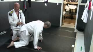 Turtle Roll Counter