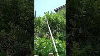 Husqvarna 525 PT5S Pole Saw
