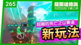 【薩爾達傳說 王國之淚】265-雲霄飛車！新作弊玩法(Tears of the Kingdom)