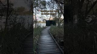 Buckleys Bird Hole Bribie Island