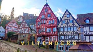 MILTENBERG, Bavaria, Germany 4K 12/02/23