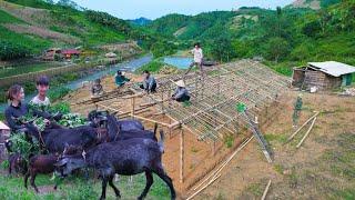 Aquaculture - raising fish, goats, gardening, Building bamboo cages to raise 2,000 chicks together