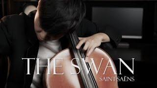 《The Swan/ 天鵝》選自Saint-Saens 聖桑（動物狂歡節）大提琴版本 Cello Cover 『cover by YoYo Cello』【古典】