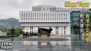 [Slow TV Walk] 雨天漫步 - 香港中文大學 CUHK on a Rainy Day, Hong Kong