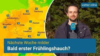 Kommt bald der erste Frühlingshauch? 