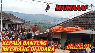 MANTAP KEPALA BANTENG MELAYANG DI UDARA // Condro Wasito Channel