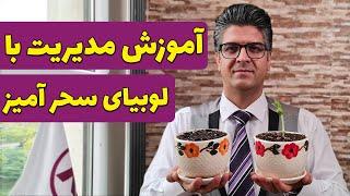 آموزش مدیریت با لوبیای سحر آمیز