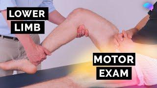 Motor Assessment of the Lower Limbs - OSCE Guide | UKMLA | CPSA | PLAB 2