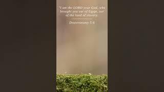Bible | Deuteronomy 5:6 | I am the LORD your God who bro...