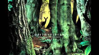 David  Sylvian - Random Acts of Senseless Violence