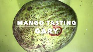 Gary Mango - Tasting Florida Mangos