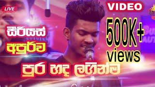 පුර හද ලගින්ම - සීරියස්  අපුර්ව |  Serious Live Band