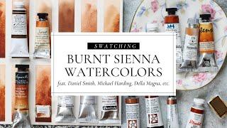 Burnt Sienna Watercolor, featuring Daniel Smith, Michael Harding, Sennelier, Della Magna, QoR, etc