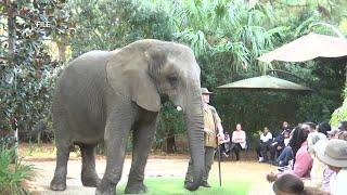 Tiger King’s ‘Doc’ Antle arrested by FBI in Horry County