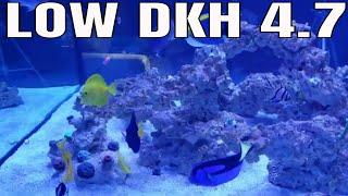 Low dkh in my marine aquarium