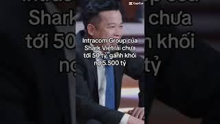 Intracom Group của Shark Việt lãi chưa tới 50 tỷ, gánh khối nợ 5 500 tỷ digawe dening Kinh Tế Đơn Gi
