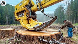 Amazing Fastest Big Tree Cutting Machines | Dangerous Tree Harvester Stump Destroy Machines #38