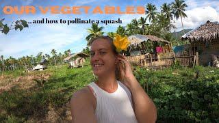 Vegetable gardening in the Philippines - German Filipino Expat Farm Family