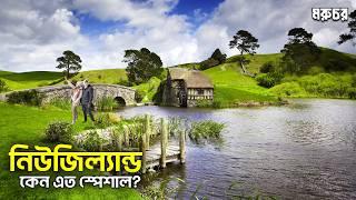 New Zealand || কি কি আছে? যা আমরা জানি না? || নিউজিল্যান্ডের খারাপ বিষয়টি কি? || Beautiful country