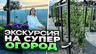 ЭКСКУРСИЯ НА СУПЕР ОГОРОД И УЧАСТОК МЕЧТЫ