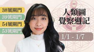 人類圖覺察週記｜01/01-01/07｜Yoko Tarot