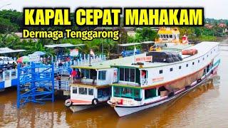 TIBA LEBIH AWAL KAPAL CEPAT SUNGAI MAHAKAM PELABUHAN TENGGARONG