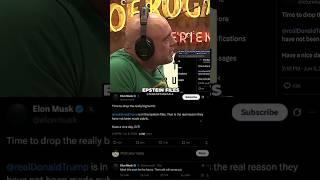 Joe Rogan Reacts To Donald Trump & Elon Musk BEEF