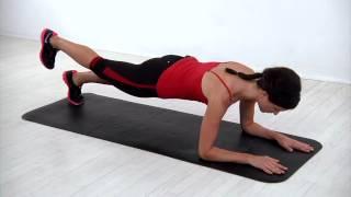 Plank with Leg Lift - Bikini Body Now Workout