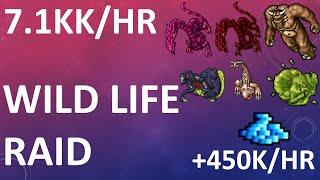 [TIBIA-RP 280+ HUNT] Wild Life Raid - 7.1kk/h 225% - PROFIT +450K/h  - @383-RP