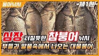 [풍낚TV] 붕어낚시/심장터질듯한 참붕어낚시 제1편/찌르가즘 참붕어미끼의 입질/부들과 말풀속의 대물붕어/Cinematic Fishing Vlog