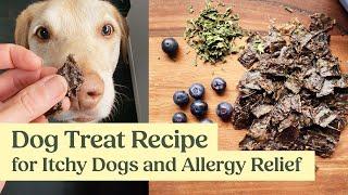 DIY Natural Dog Treats for Itchy Dogs and Allergy Relief  TCVM ️