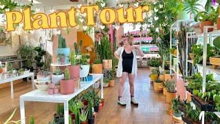 Lush Houseplant Shopping Tour! Let's Go Indoor Plant Shopping Together!