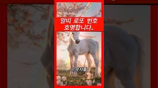 말띠 로또 번호 호명합니다.