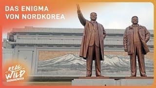 Die isolierteste Nation der Welt | Nordkorea Doku | Real Wild Deutschland