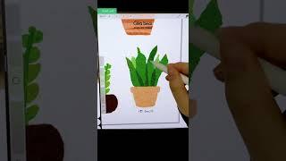 Guess which plant it is!