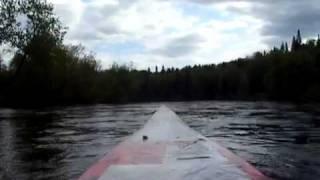 Paddling the Moss River